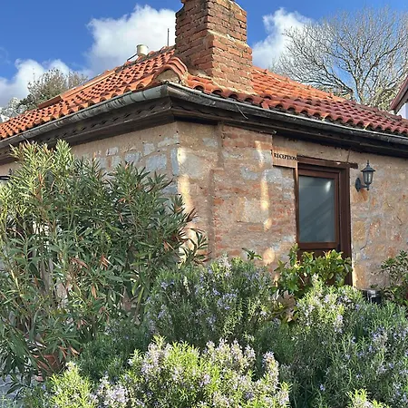 게스트하우스 Yediburunlar Lighthouse Boutique And Restaurant 5*
